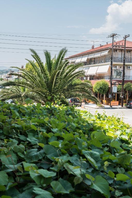 Hotel Alexandros نيوي بوروي الغرفة الصورة